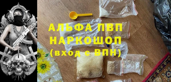 твердый Лагань
