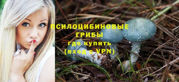 твердый Лагань
